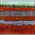Il suolo è la parte più superficiale della crosta terreste sulla quale noi viviamo. Il suolo è costituito da strati di materiali diversi, sovrapposti l’uno all’altro. La parte più esterna […]
