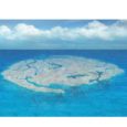 Nell’Oceano Pacifico c’è un’Isola di plastica. Quest’isola è enorme, è tre volte la Francia e piano piano si sta ingrandendo. Molte navi e aerei l’hanno percorsa in lunghezza e larghezza […]