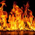 Il fuoco è una forma di  luce naturale, è stato scoperto migliaia di anni fa e può essere utilizzato per illuminare, riscaldarsi, cuocere il cibo, difendersi dagli animali e tante altre  […]