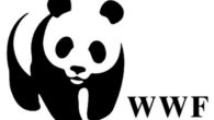 .                       WWF: per la difesa dell’ambiente e delle specie a rischio. E’ la più grande organizzazione mondiale per la […]