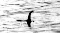 Il mostro si trova nel lago di Loch Ness, in Scozia. Il suo nome è Nessi. Il primo avvistamento risale al 1566, poi nel 22 settembre 1933, grazie alle informazioni da […]