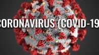 Il  covid–2019 è un virus che secondo per alcune persone  è solo un’ influenza. Infatti per molti il covid è stato fatale alcuni hanno perso i propri familiari invece altri hanno perso […]
